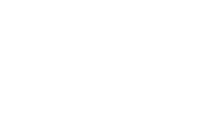 Pollo Brujo