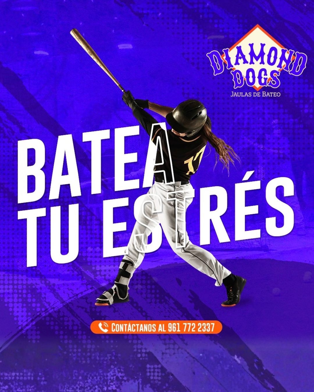 Publicación de Diamond Dogs 2