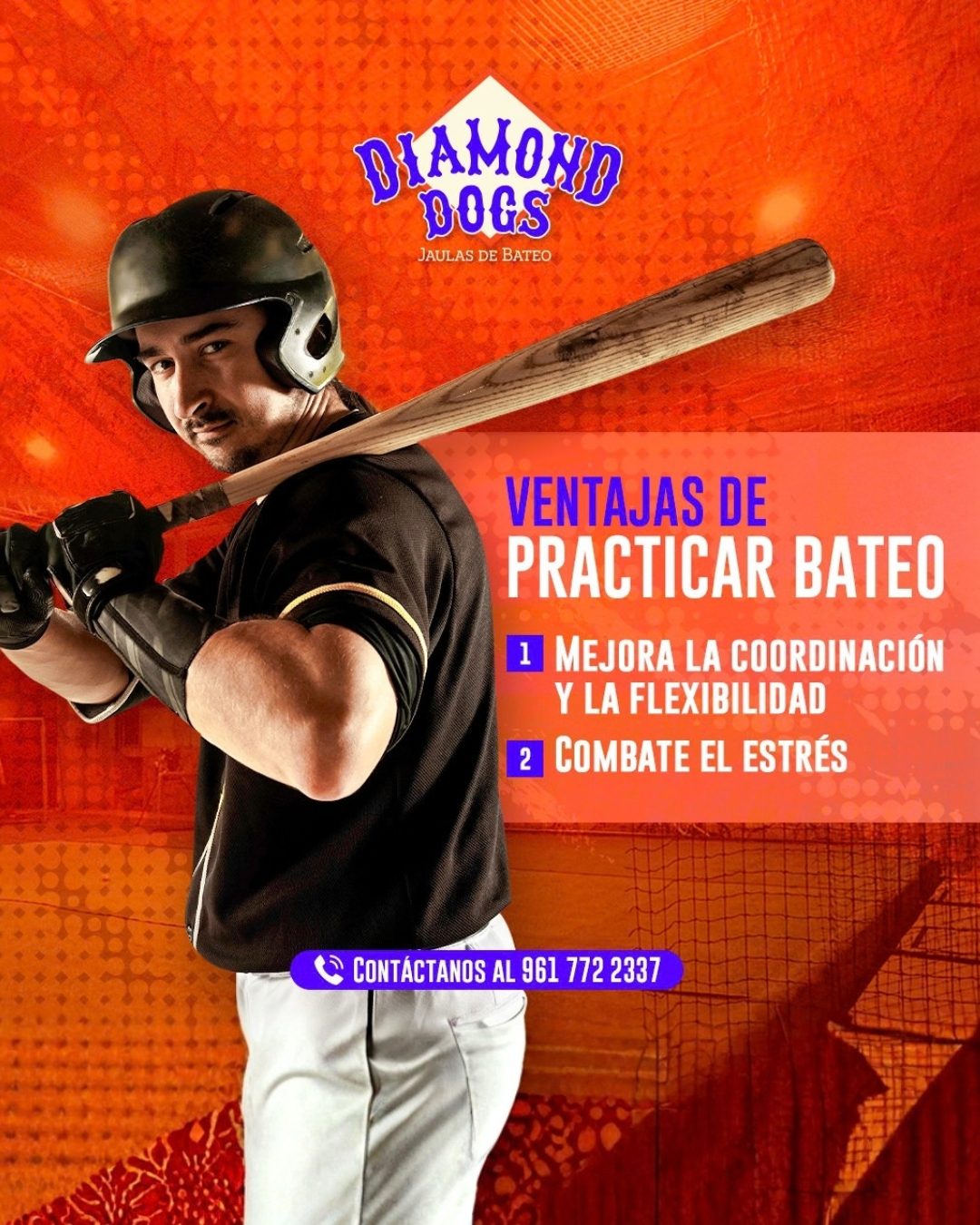 Publicación de Diamond Dogs 3