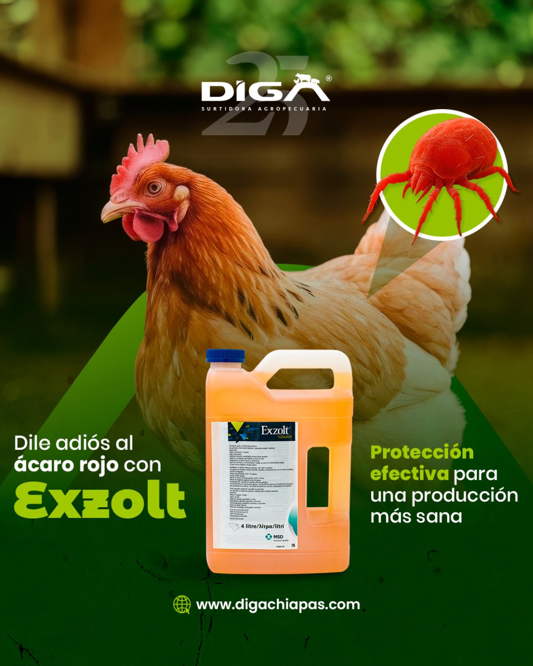 Publicación de DIGA 1
