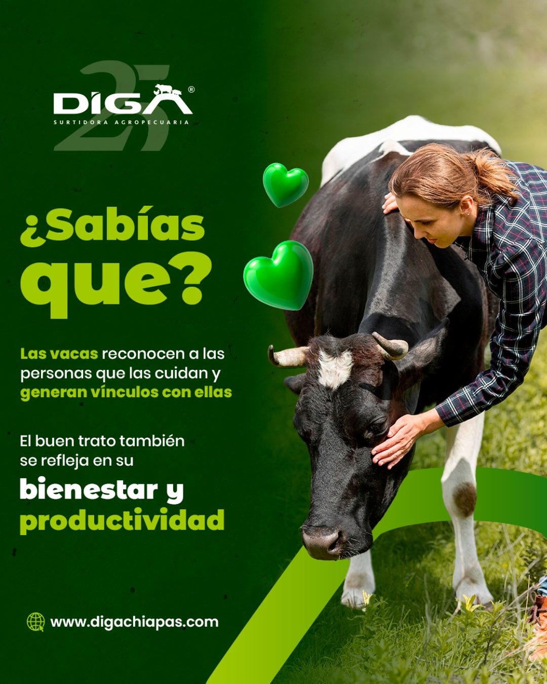 Publicación de DIGA 2