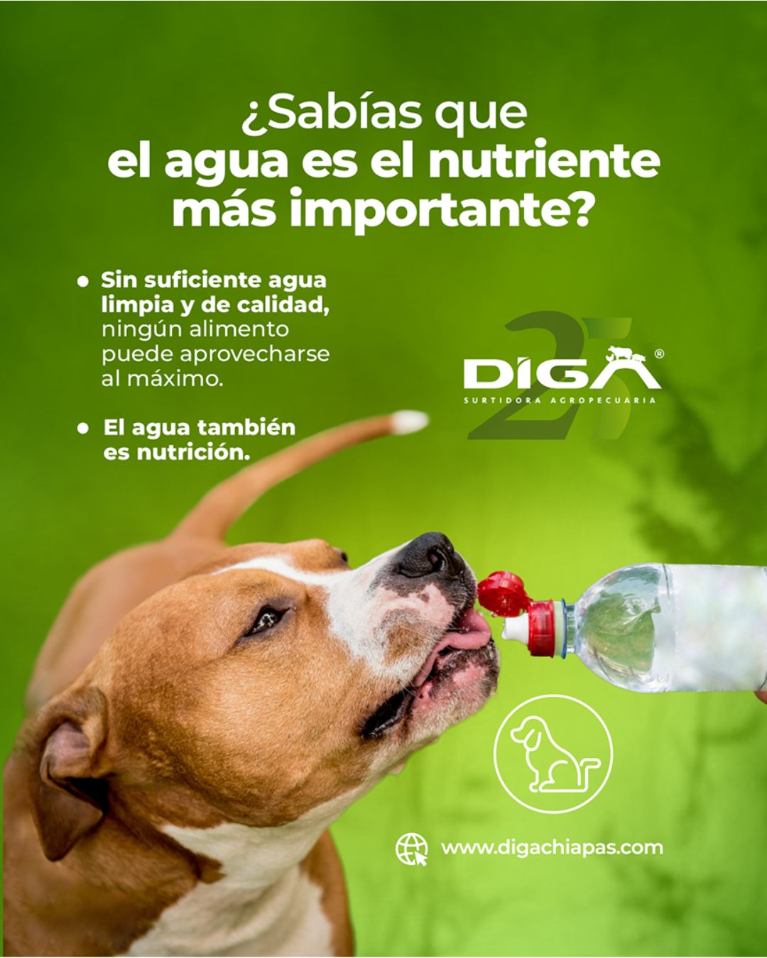 Publicación de DIGA 3