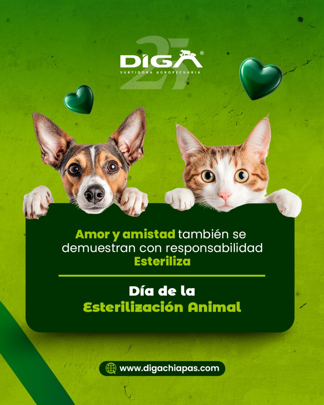 Publicación de DIGA 4