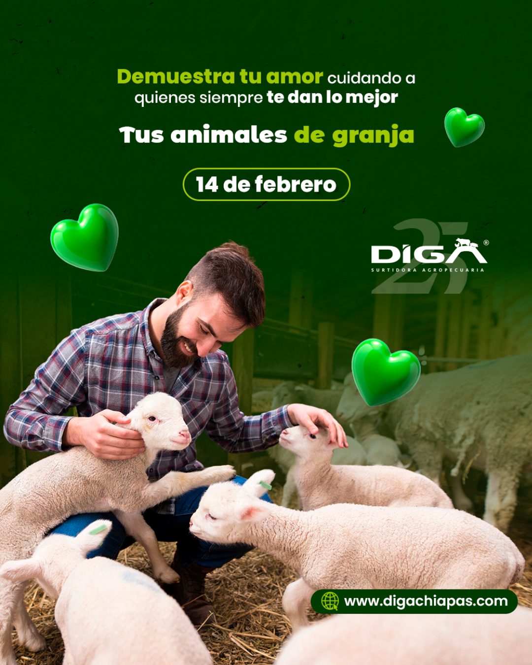Publicación de DIGA 5