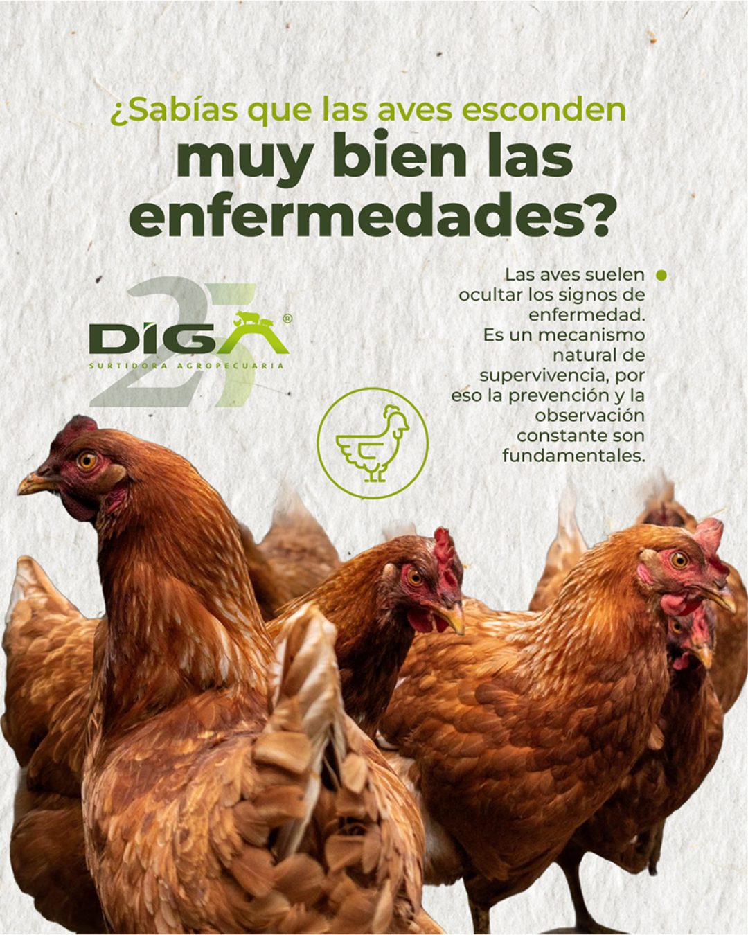 Publicación de DIGA 6