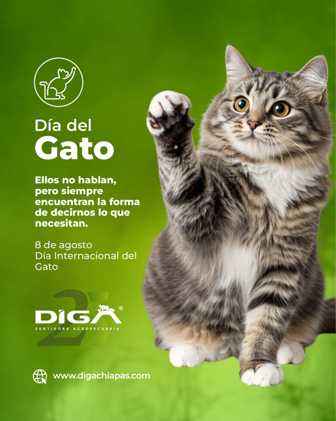 Publicación de DIGA 7