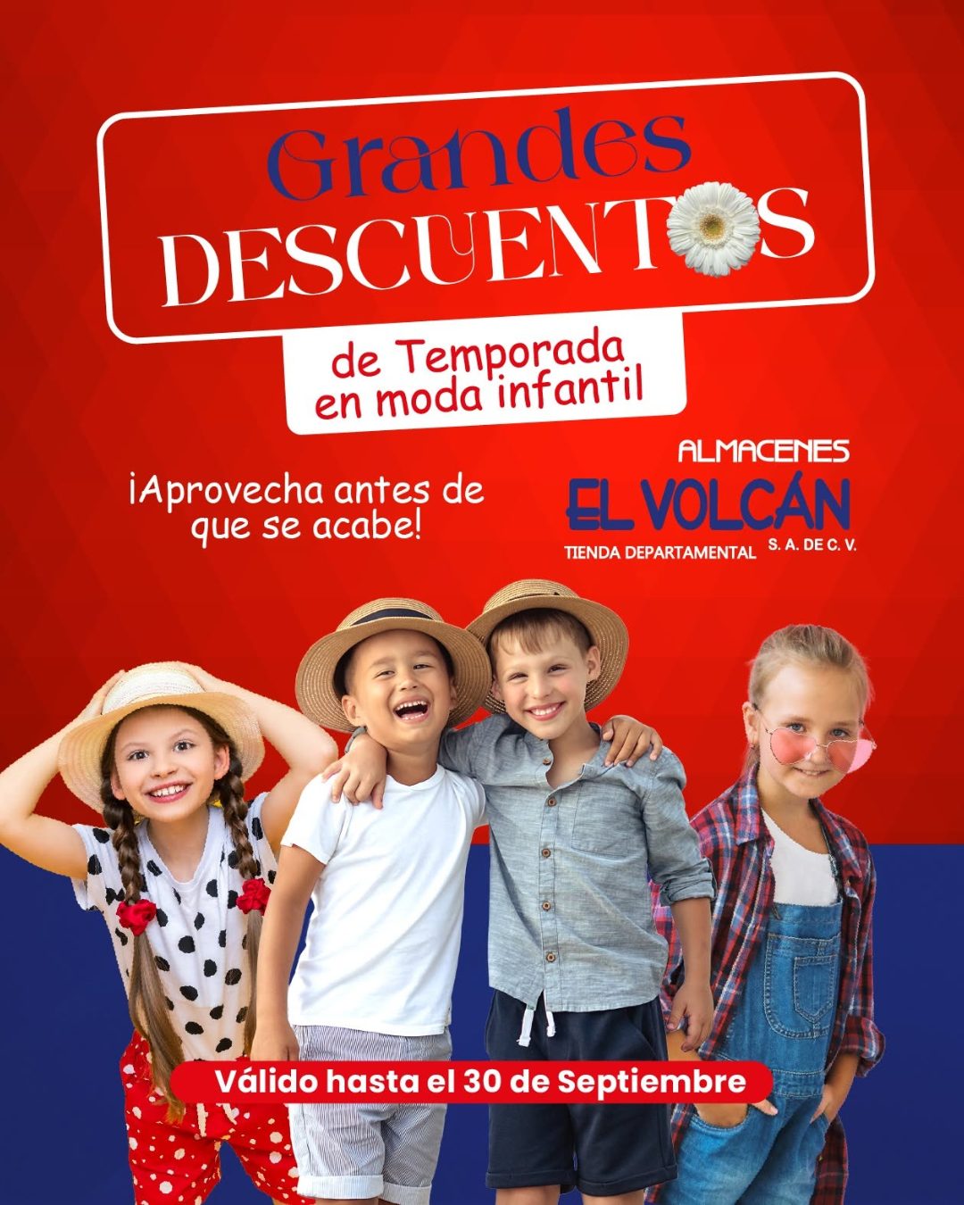 Publicación de Almacenes El Volcán 3