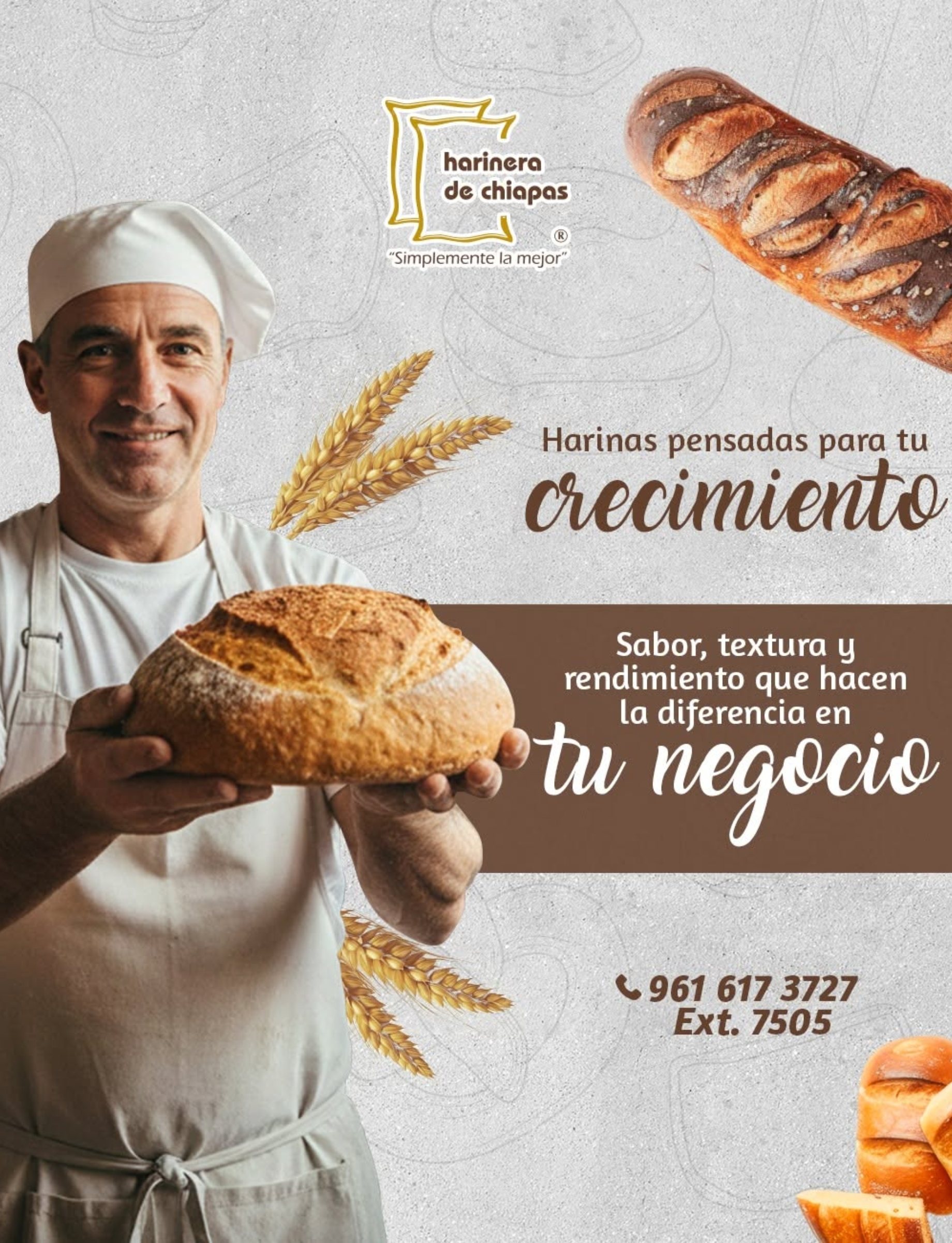 Pieza publicitaria de Harinera de Chiapas: «Harinas pensadas para tu crecimiento»