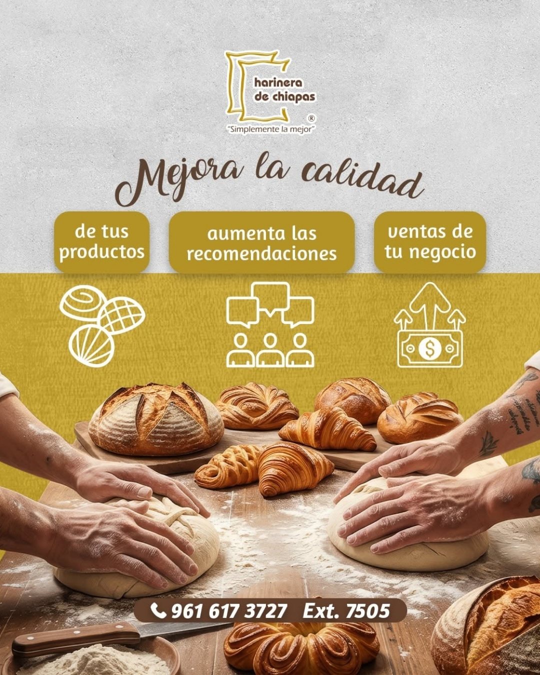Publicación de Harinera de Chiapas 10