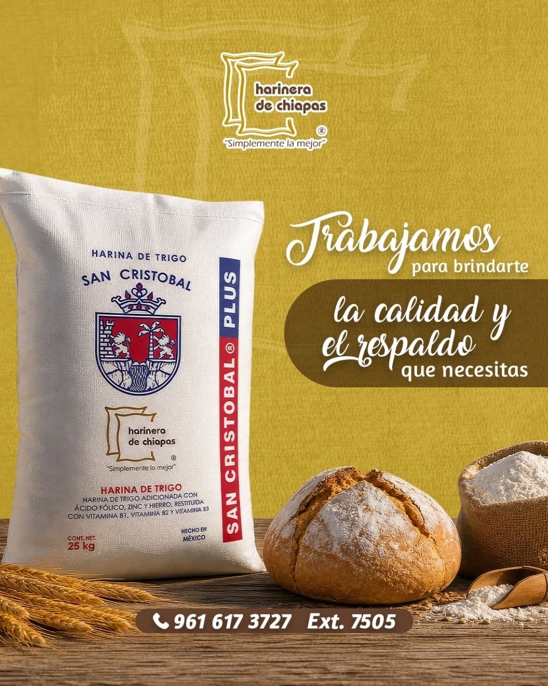 Publicación de Harinera de Chiapas 11
