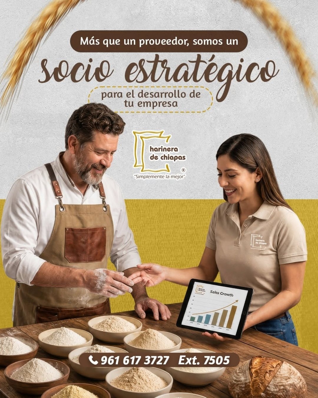 Publicación de Harinera de Chiapas 12