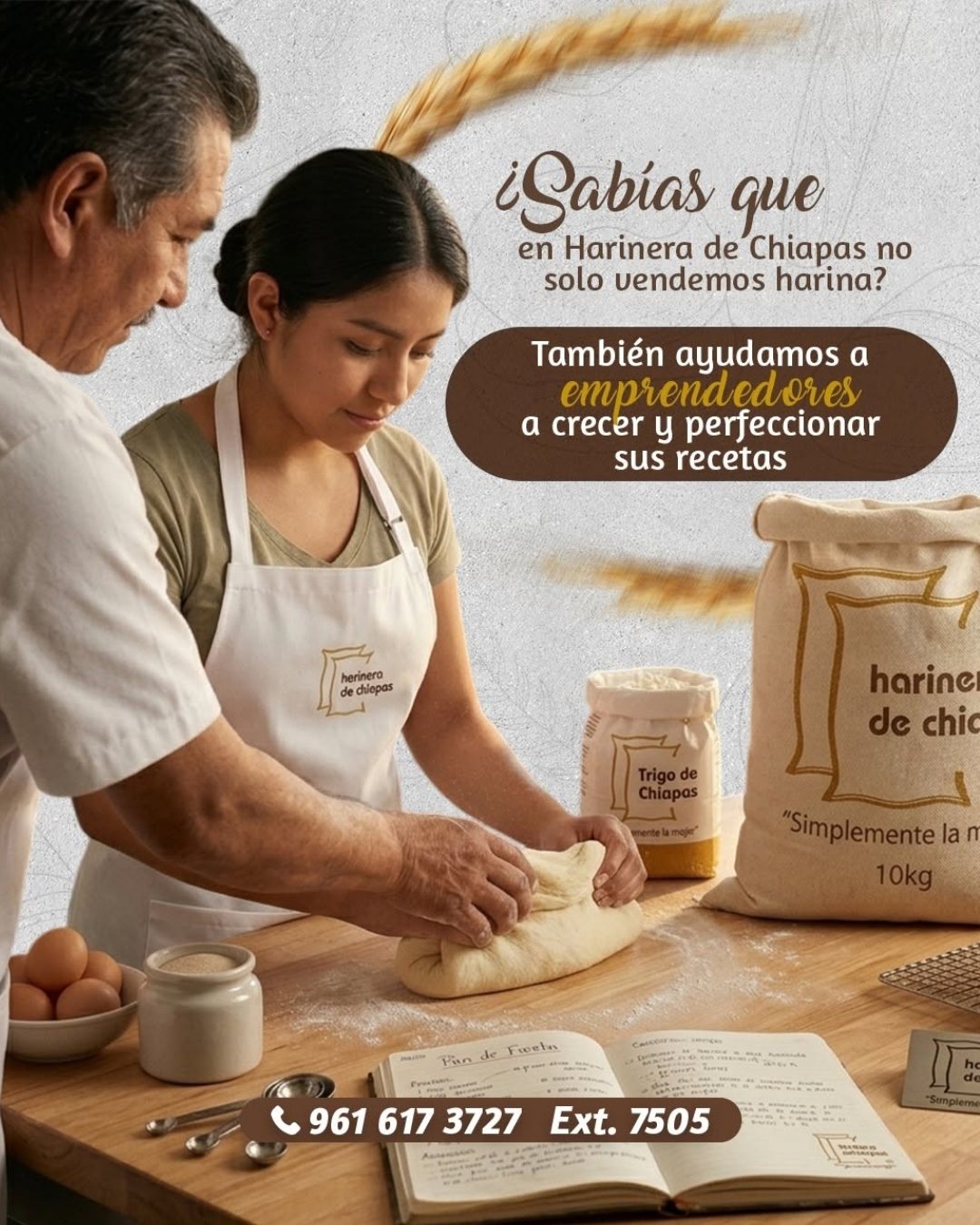 Publicación de Harinera de Chiapas 13
