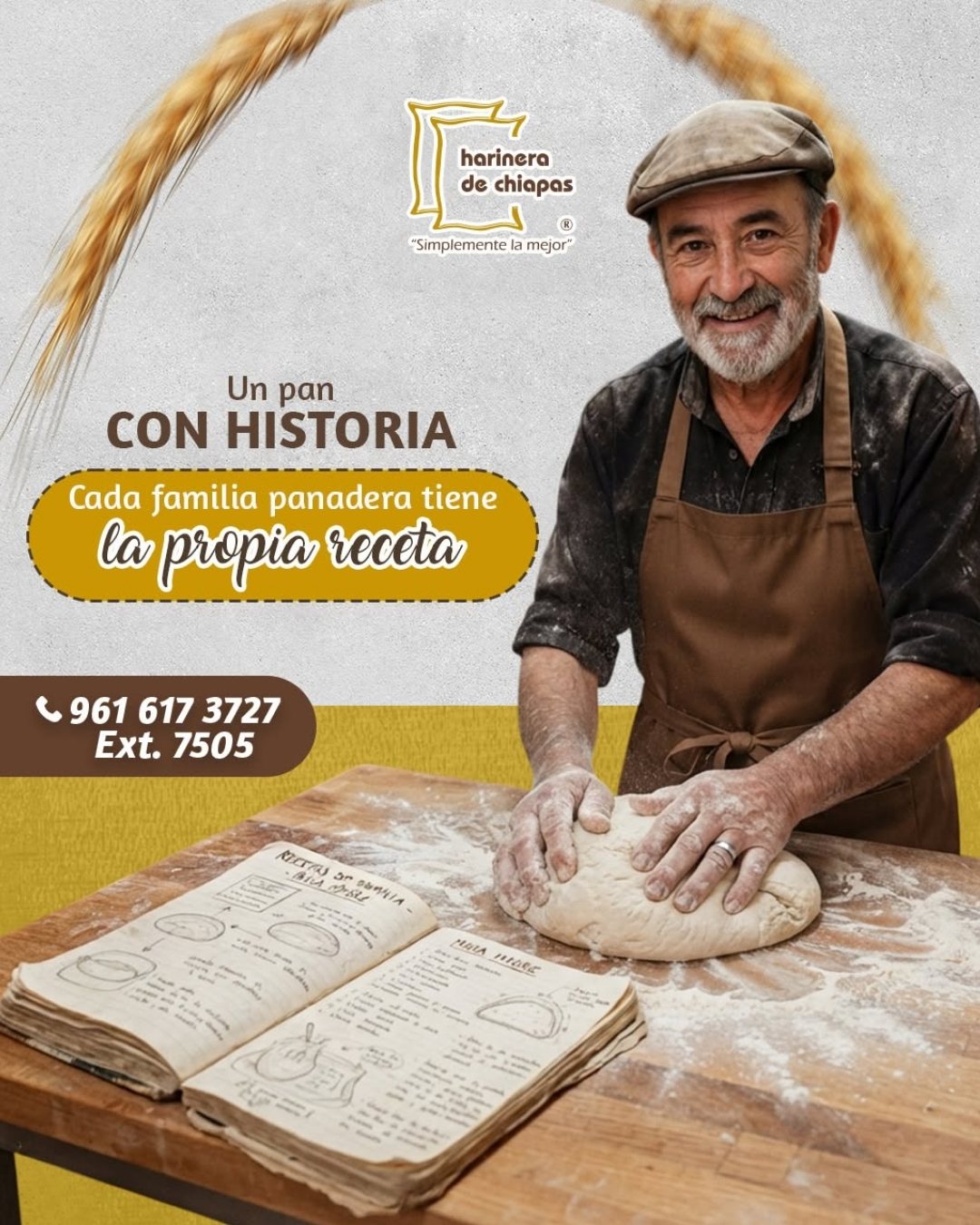 Publicación de Harinera de Chiapas 2