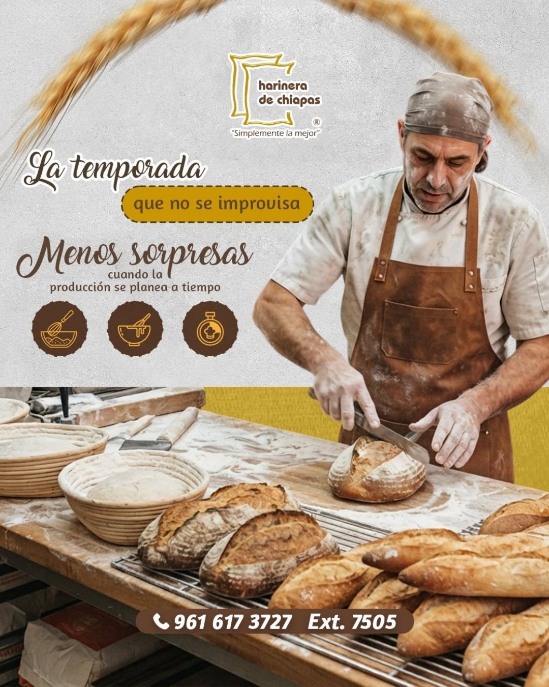 Publicación de Harinera de Chiapas 5