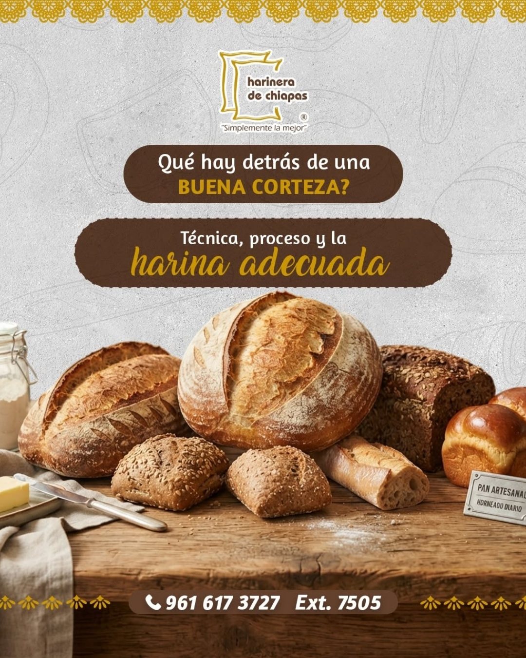 Publicación de Harinera de Chiapas 7