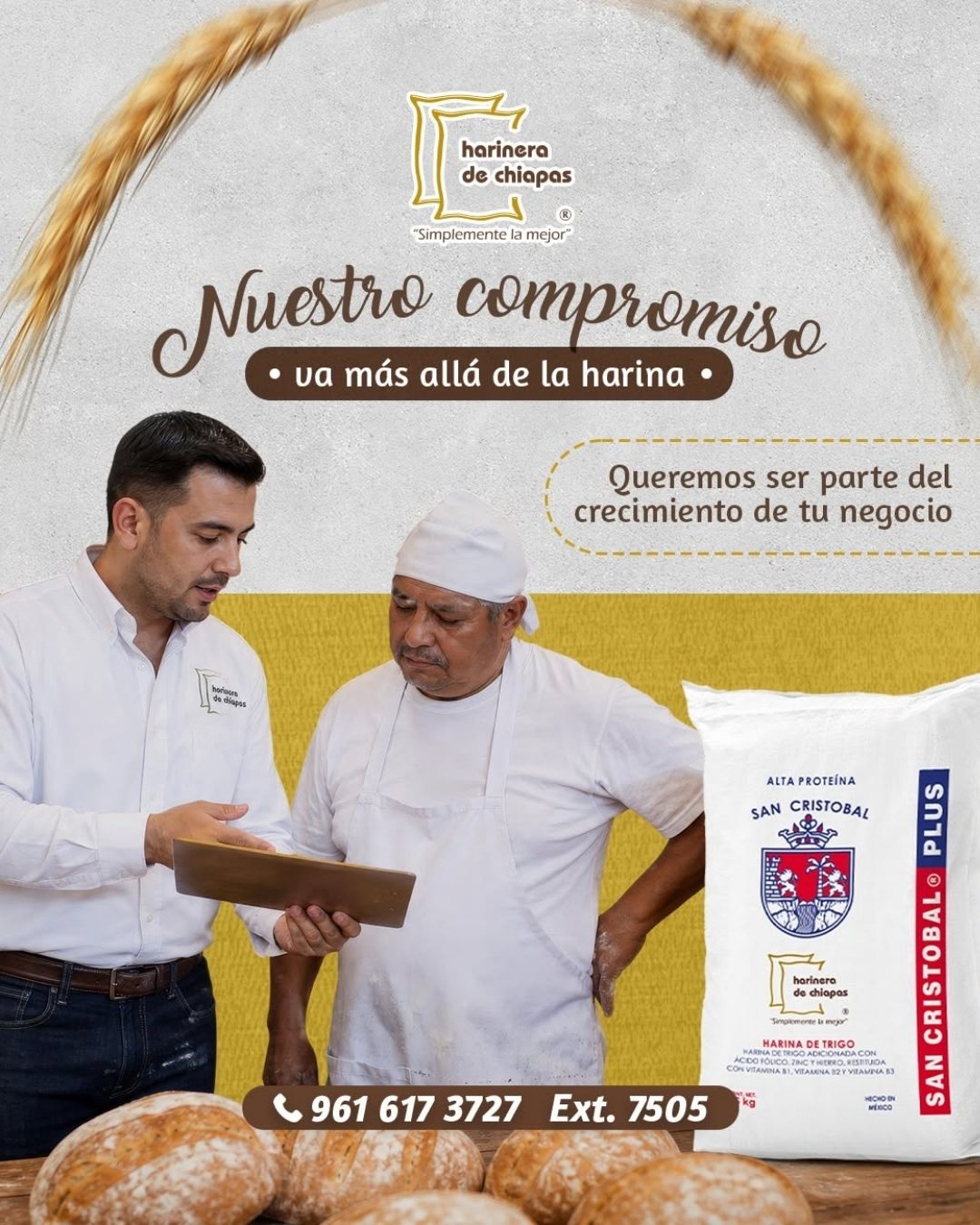 Publicación de Harinera de Chiapas 9