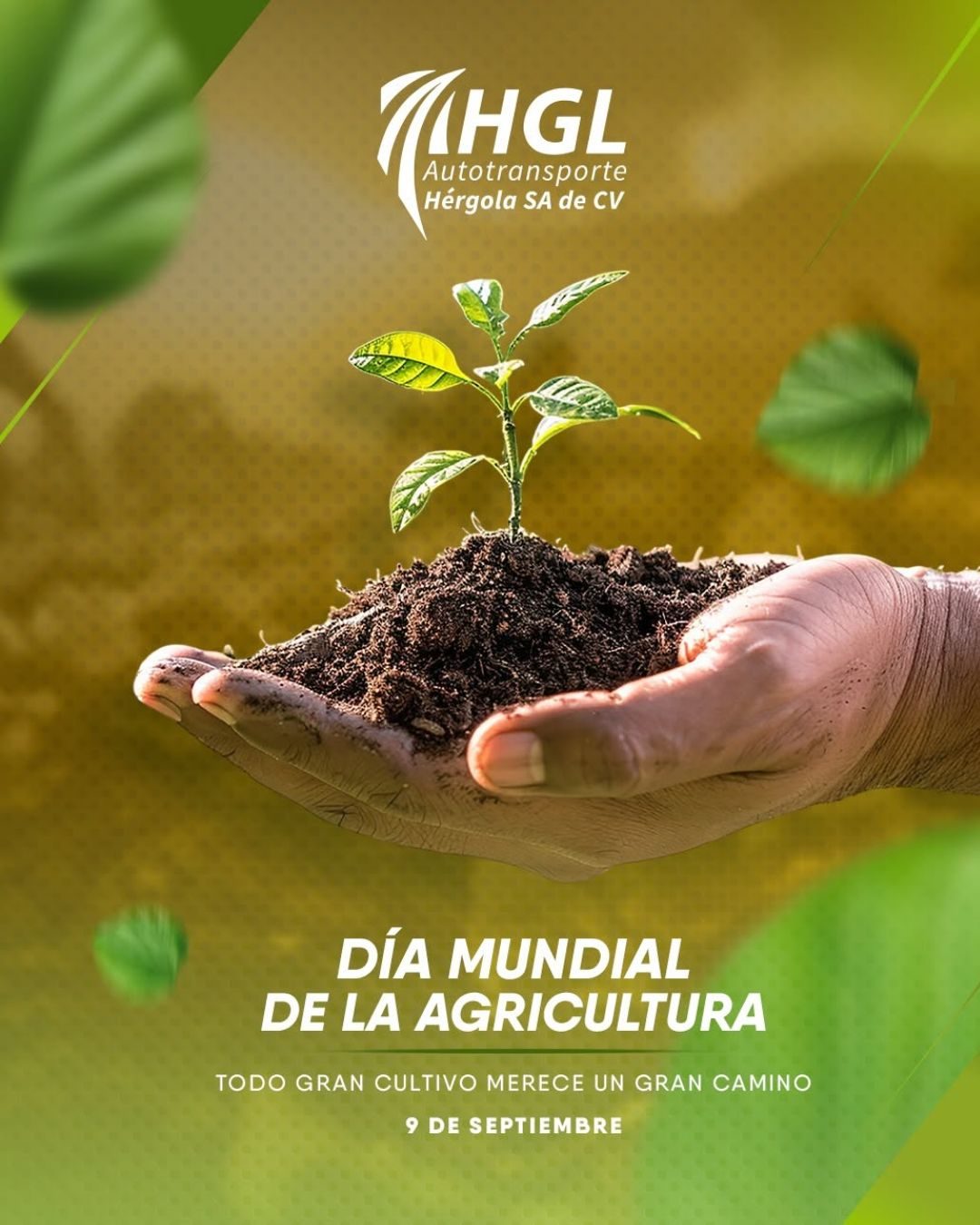 Publicación de Hérgola 1