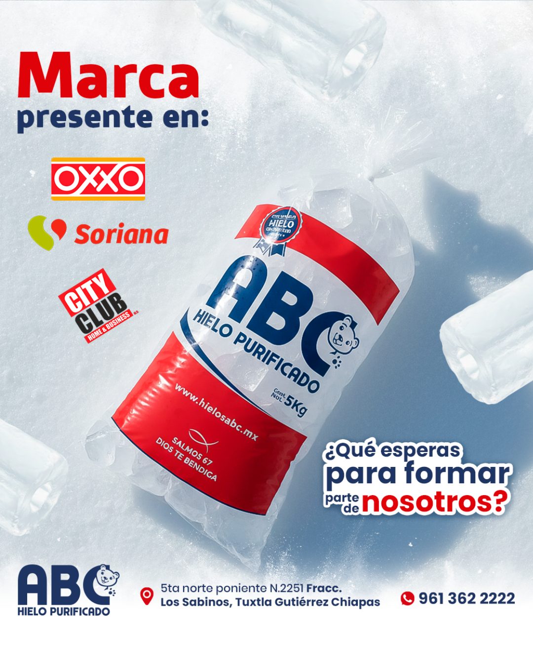 Publicación de Hielos ABC 4