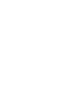 Diamond Dogs